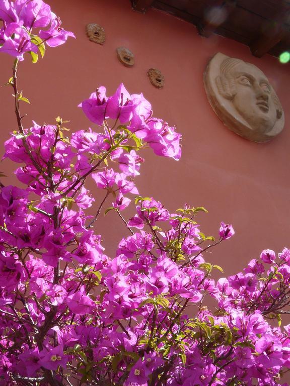 Li Rioni Bed & Breakfast Roma Dış mekan fotoğraf