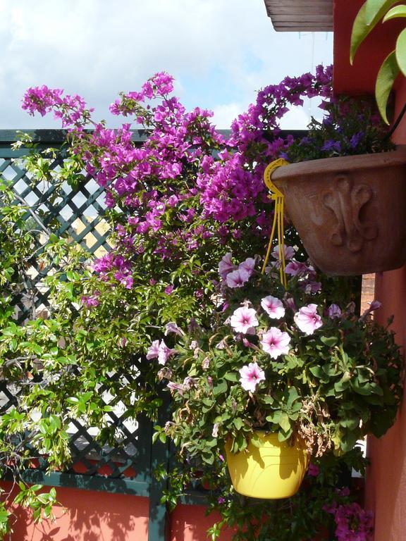Li Rioni Bed & Breakfast Roma Dış mekan fotoğraf
